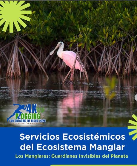 Alianza por el Planeta: Juventud y Gobierno Local Unen Fuerzas por San Gregorio de Nigua